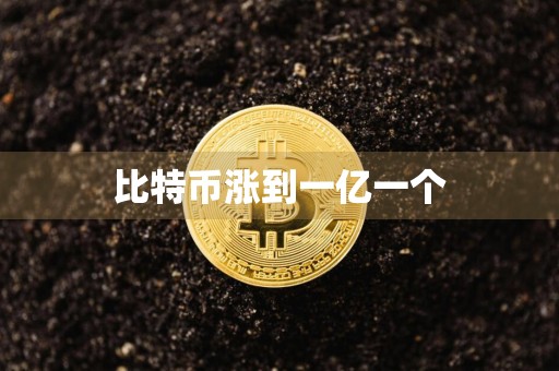 比特币涨到一亿一个