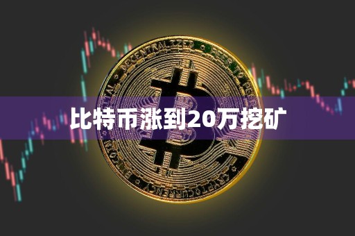 比特币涨到20万挖矿
