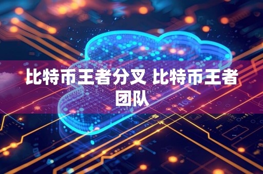 比特币王者分叉 比特币王者团队