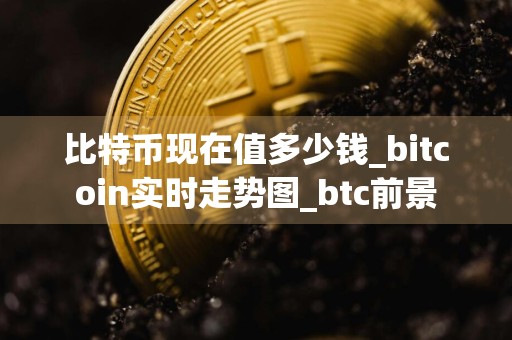 比特币现在值多少钱_bitcoin实时走势图_btc前景