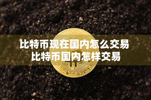比特币现在国内怎么交易 比特币国内怎样交易