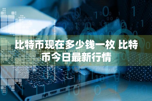 比特币现在多少钱一枚 比特币今日最新行情