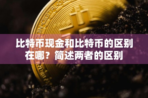 比特币现金和比特币的区别在哪？简述两者的区别