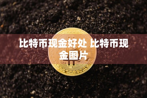 比特币现金好处 比特币现金图片