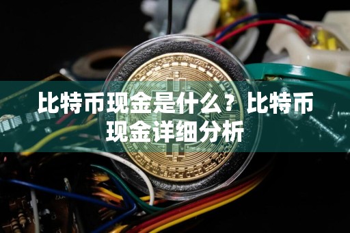 比特币现金是什么?比特币现金详细分析