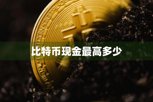 比特币现金最高多少