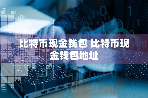 比特币现金钱包 比特币现金钱包地址