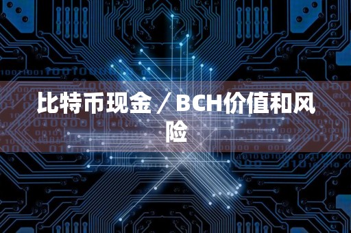 比特币现金／BCH价值和风险