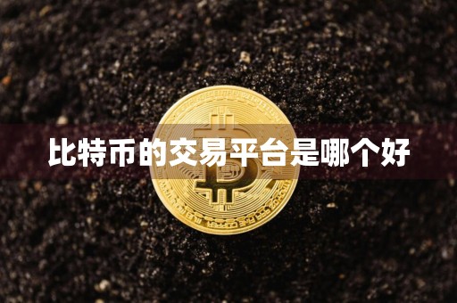 比特币的交易平台是哪个好