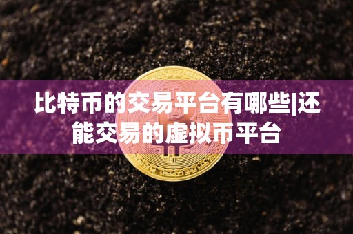 比特币的交易平台有哪些|还能交易的虚拟币平台