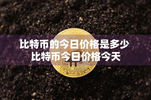 比特币的今日价格是多少 比特币今日价格今天
