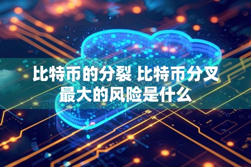 比特币的分裂 比特币分叉最大的风险是什么