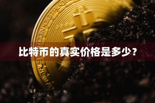 比特币的真实价格是多少？