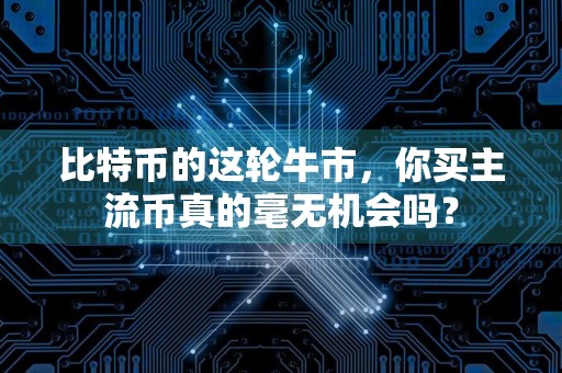比特币的这轮牛市,你买主流币真的毫无机会吗?