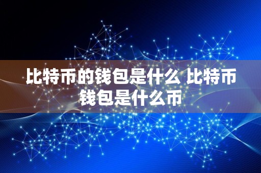 比特币的钱包是什么 比特币钱包是什么币