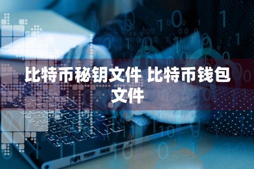 比特币秘钥文件 比特币钱包文件