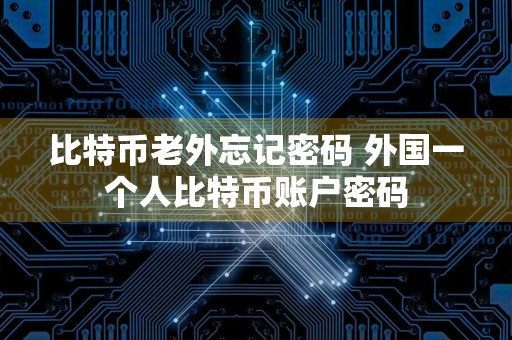 比特币老外忘记密码 外国一个人比特币账户密码