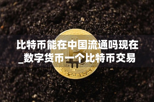 比特币能在中国流通吗现在_数字货币一个比特币交易所在哪里