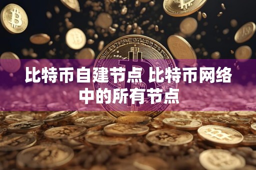 比特币自建节点 比特币网络中的所有节点
