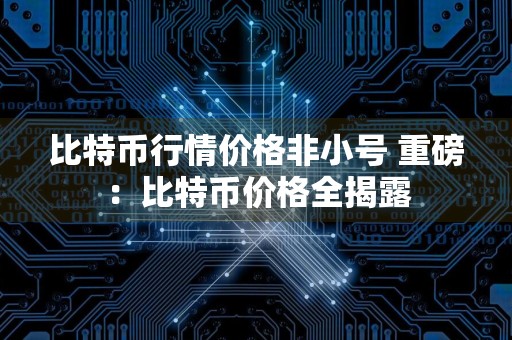 比特币行情价格非小号 重磅：比特币价格全揭露