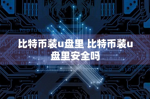 比特币装u盘里 比特币装u盘里安全吗