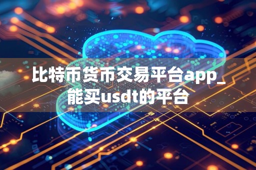 比特币货币交易平台app_能买usdt的平台