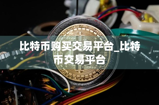 比特币购买交易平台_比特币交易平台