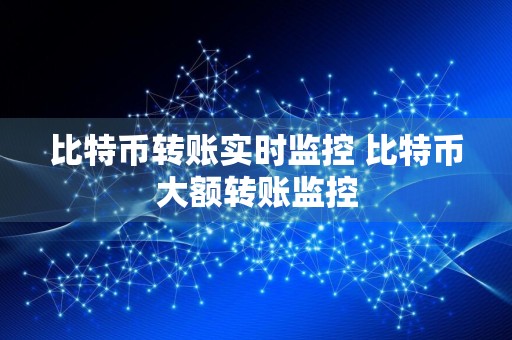 比特币转账实时监控 比特币大额转账监控