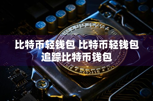 比特币轻钱包 比特币轻钱包追踪比特币钱包
