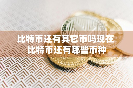 比特币还有其它币吗现在 比特币还有哪些币种
