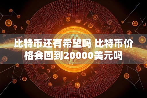 比特币还有希望吗 比特币价格会回到20000美元吗