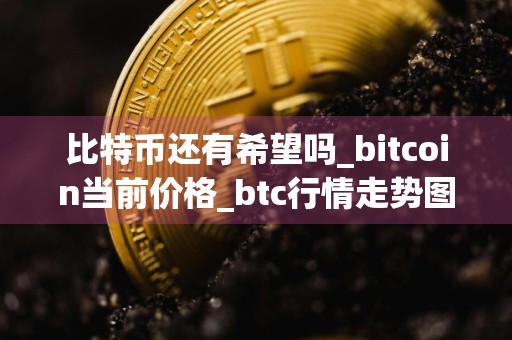 比特币还有希望吗_bitcoin当前价格_btc行情走势图