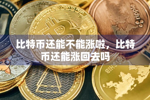 比特币还能不能涨啦，比特币还能涨回去吗
