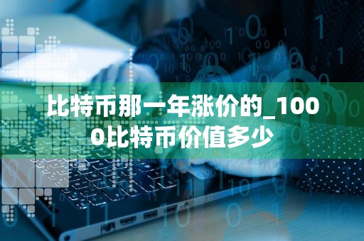 比特币那一年涨价的_1000比特币价值多少