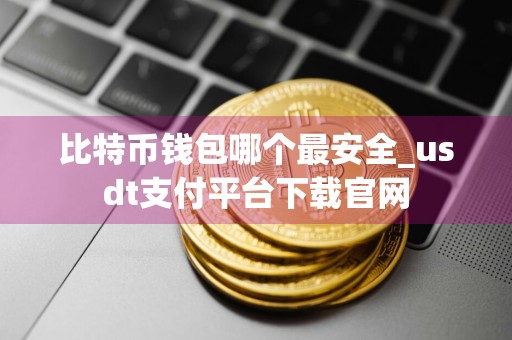 比特币钱包哪个最安全_usdt支付平台下载官网