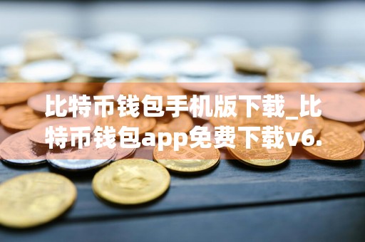 比特币钱包手机版下载_比特币钱包app免费下载v6.0.6