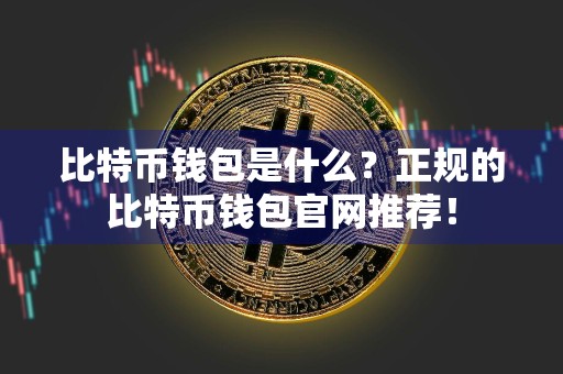 比特币钱包是什么？正规的比特币钱包官网推荐！