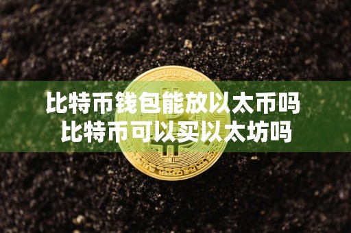 比特币钱包能放以太币吗 比特币可以买以太坊吗