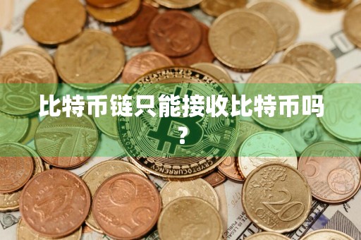 比特币链只能接收比特币吗？