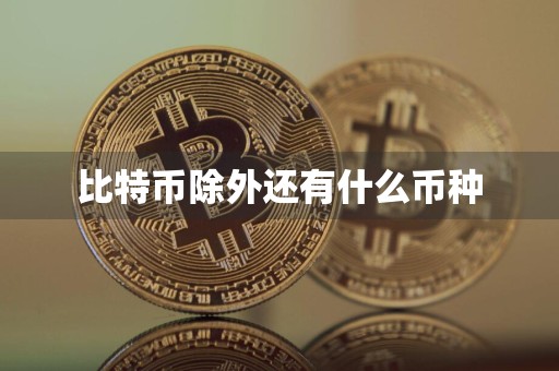 比特币除外还有什么币种