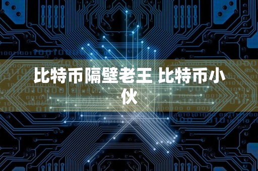 比特币隔壁老王 比特币小伙