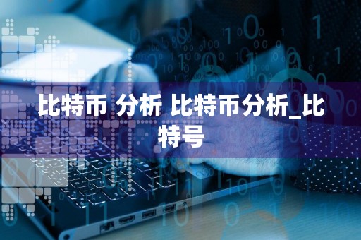 比特币 分析 比特币分析_比特号