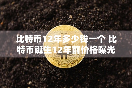 比特币12年多少钱一个 比特币诞生12年前价格曝光