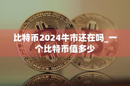 比特币2024牛市还在吗_一个比特币值多少