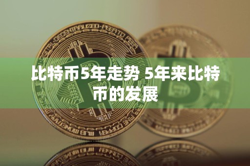 比特币5年走势 5年来比特币的发展