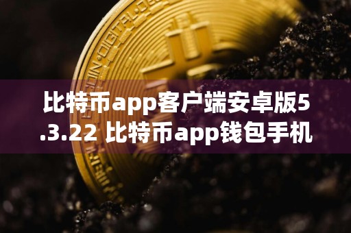比特币app客户端安卓版5.3.22 比特币app钱包手机比特币app交易所app最新下载