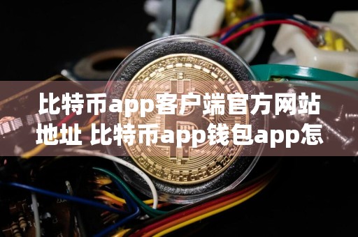 比特币app客户端官方网站地址 比特币app钱包app怎么使用