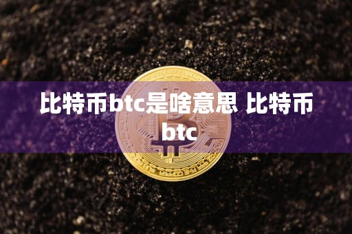 比特币btc是啥意思 比特币 btc