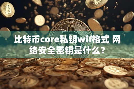 比特币core私钥wif格式 网络安全密钥是什么?