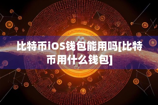 比特币iOS钱包能用吗[比特币用什么钱包]